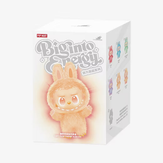 Plüsch Labubu Box Mystery Farben Pop