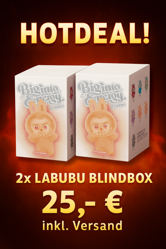 HotDeaL 2x Labubu BlindBox